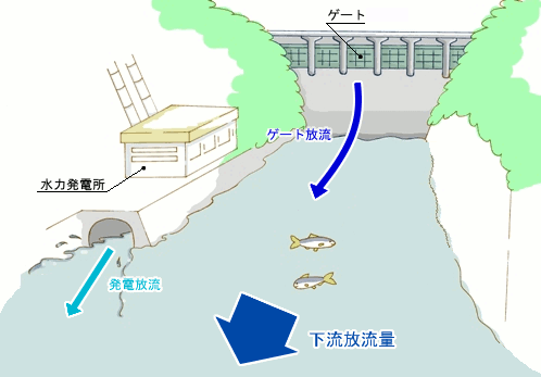 ゲートから行われる放流を「ゲート放流」という。水力発電所から行われる放流を「発電放流」という。「ゲート放流」、「発電放流」を合わせてた放流量を「下流放流量」という。